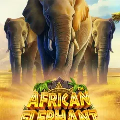 African Elephant